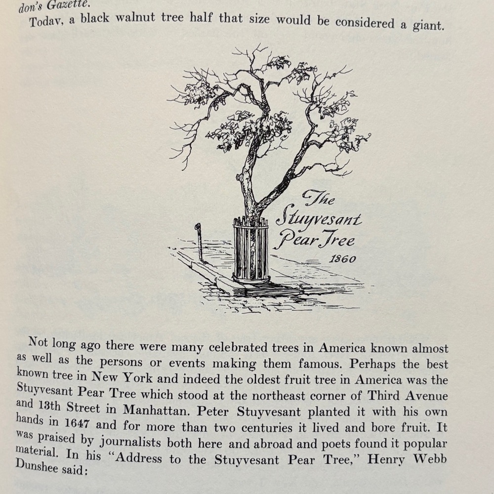 1955 Our Vanishing Landscape Architecture Churches Sheds Farmland Illustrated - Picture 7 of 15
